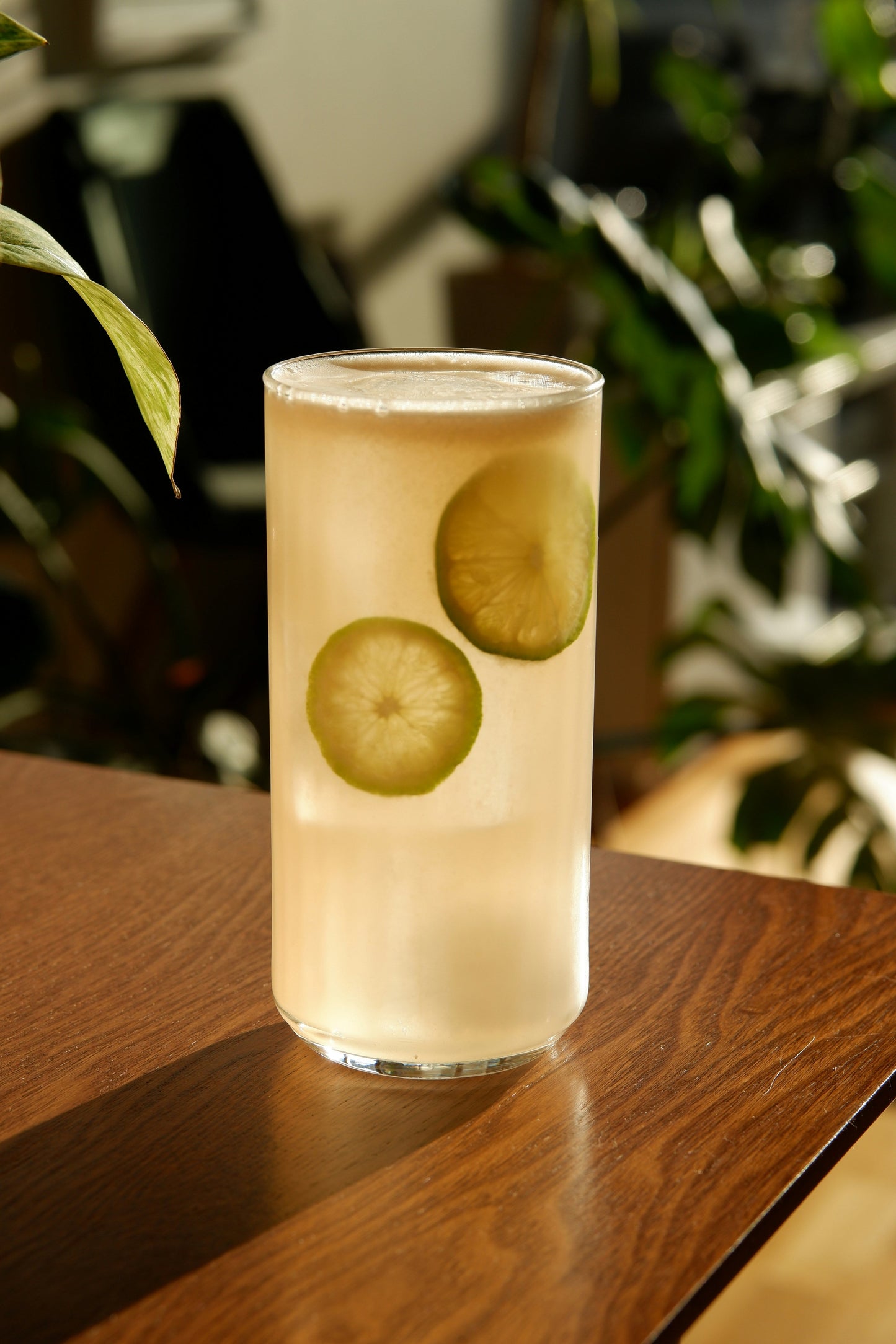 The Maté Paloma
