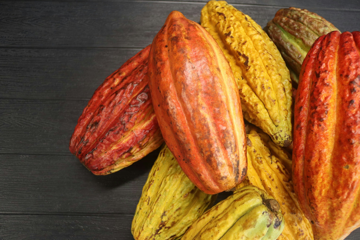 What Is Theobromine and Why Does It Matter In Yerba Maté?